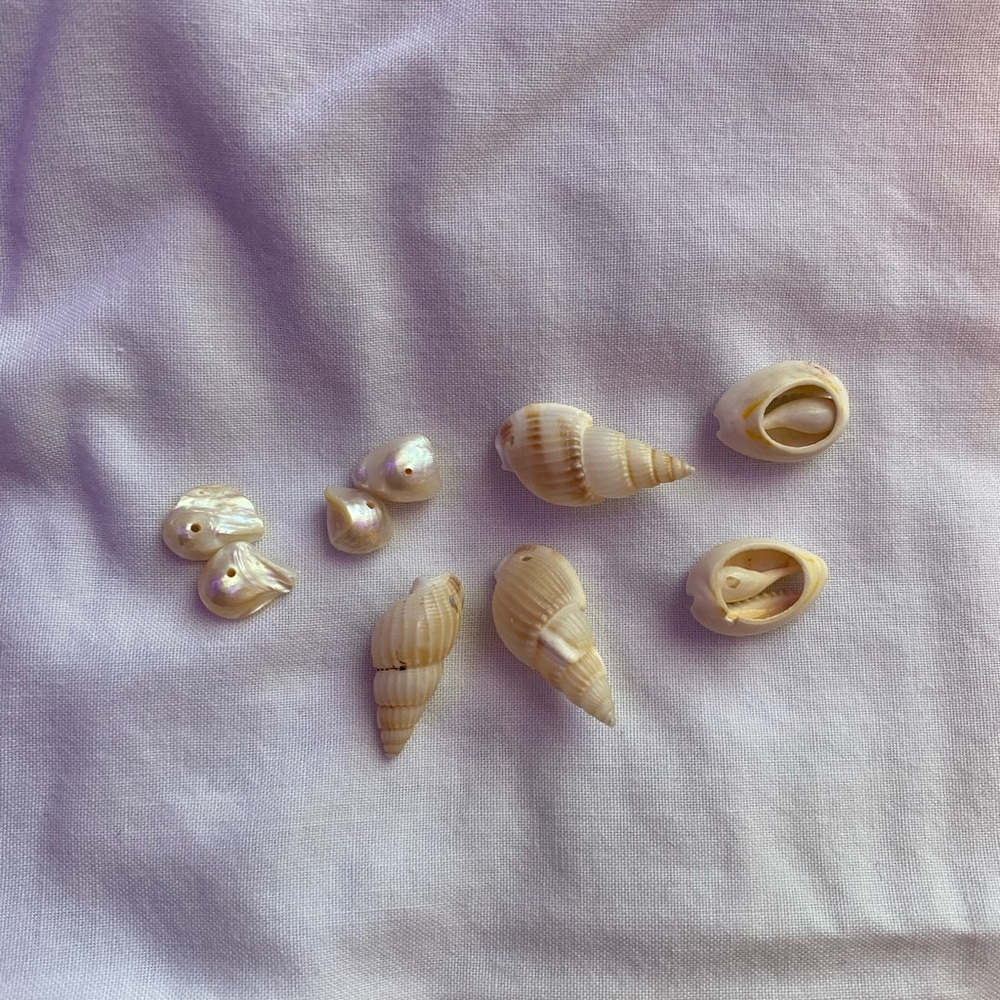 White Shell Beads